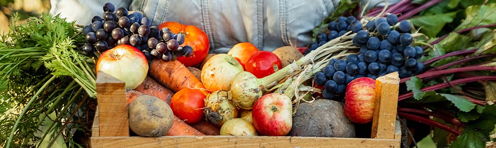 local farmer holding a create of local produce fruit and vegtables